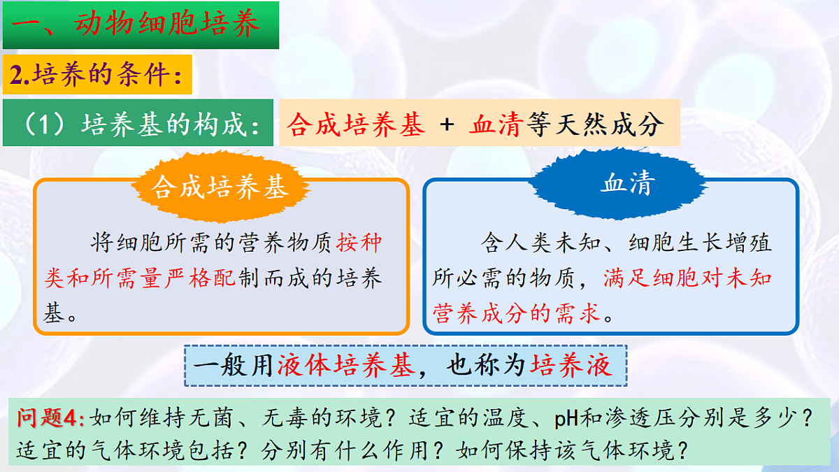 17785556第7页