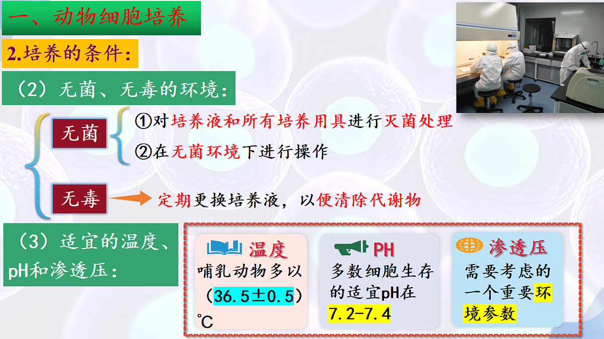 17785556第8页