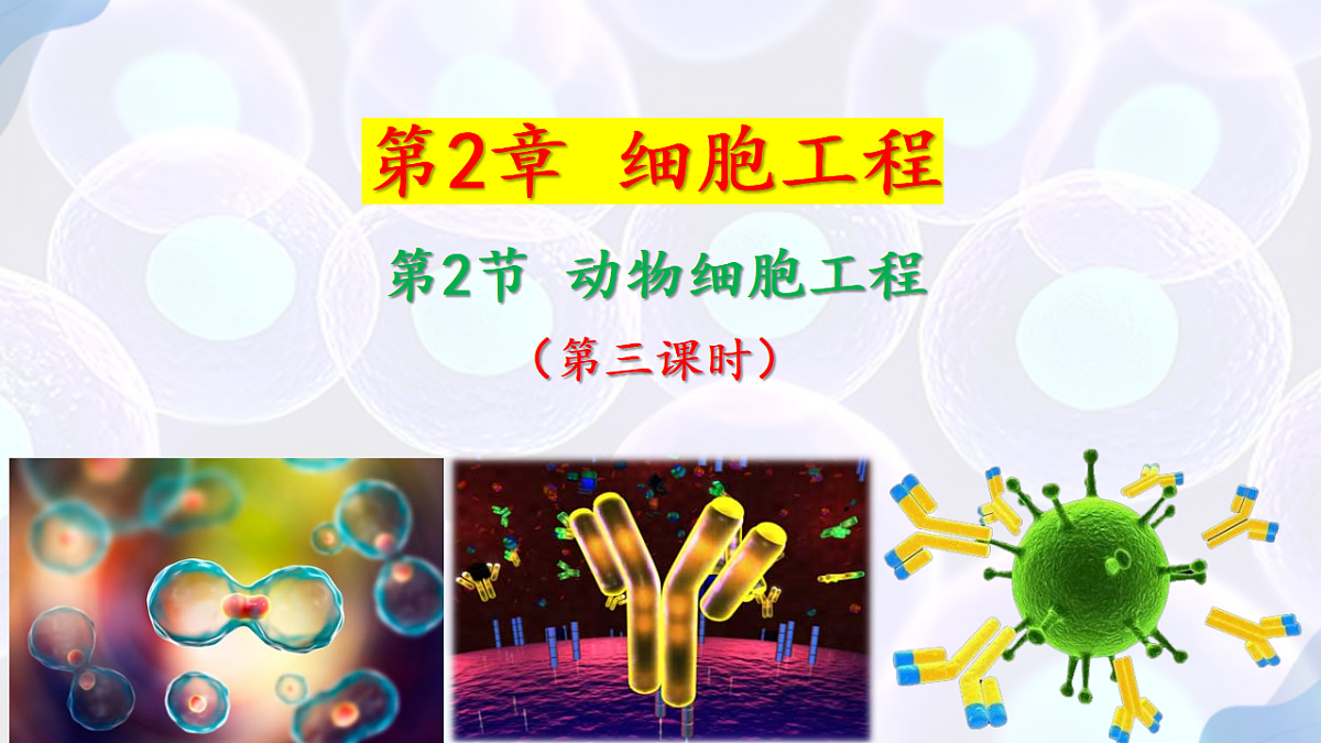 17785557第1页