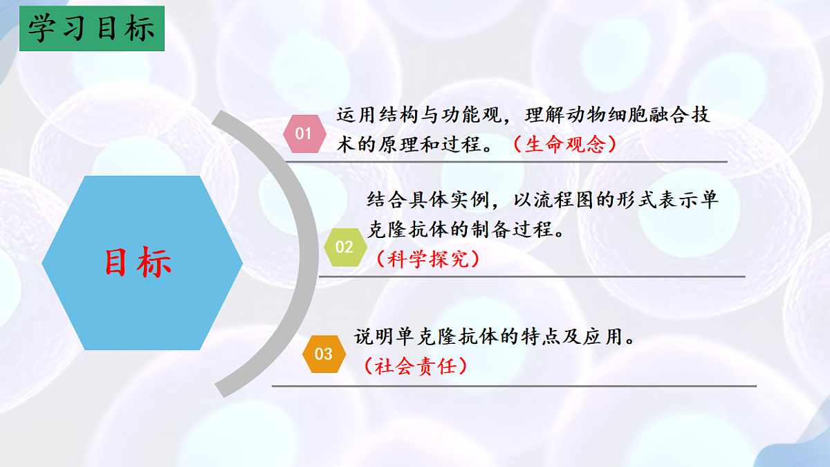 17785557第2页