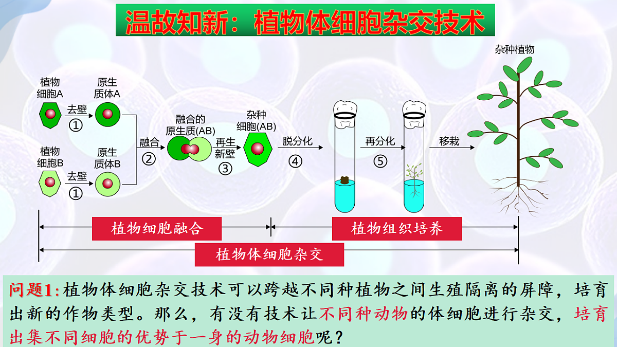 17785557第3页