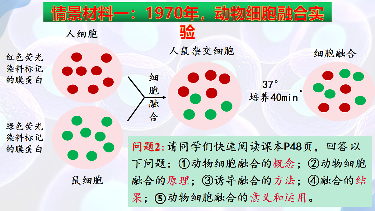 17785557第4页