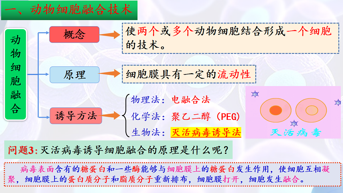 17785557第5页
