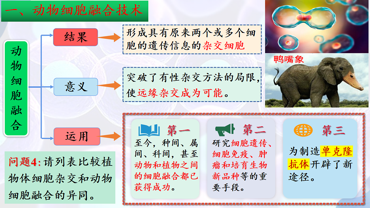 17785557第6页