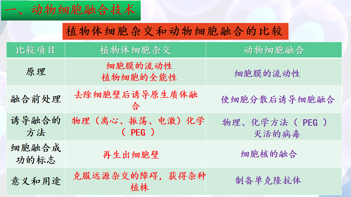 17785557第7页