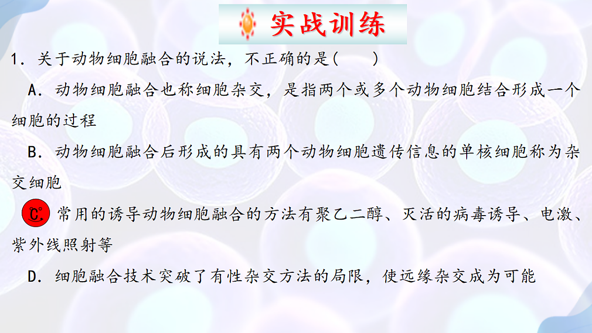 17785557第8页