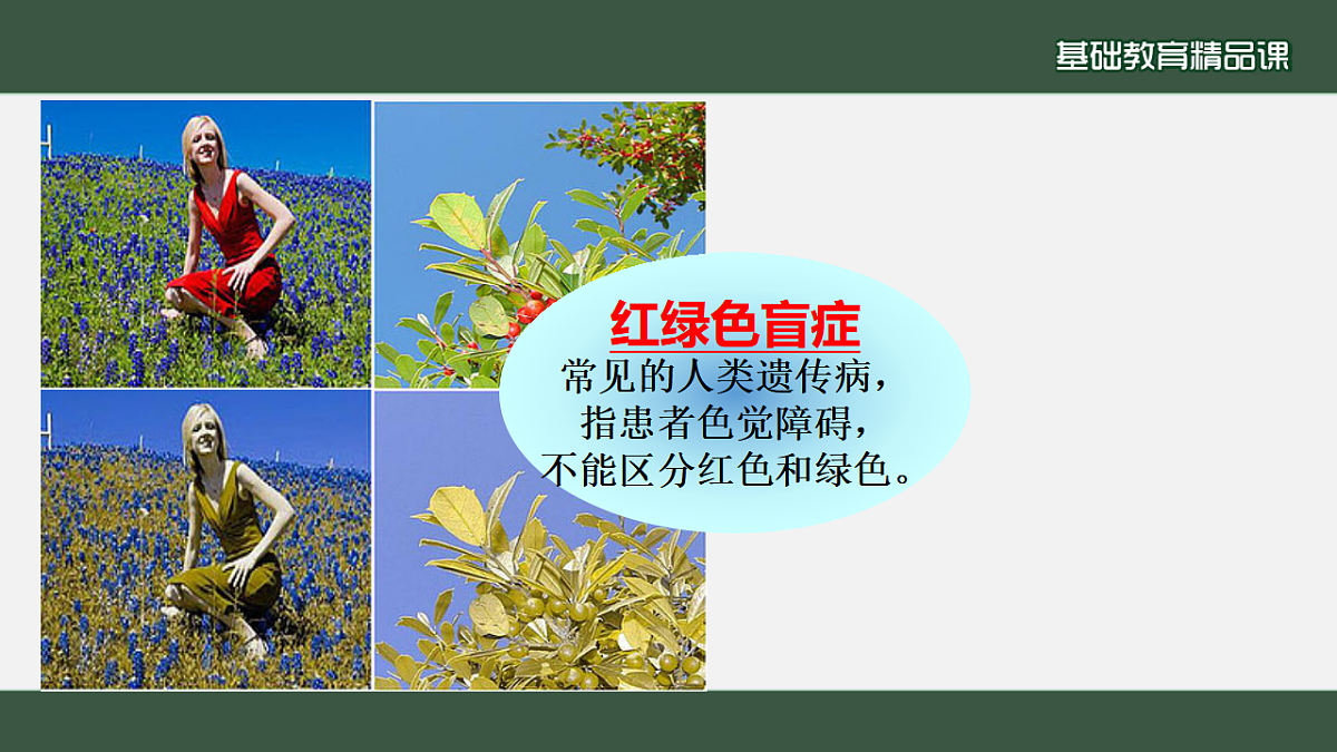 17785558第3页