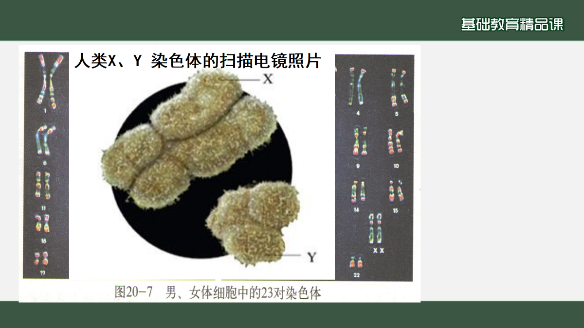 17785558第7页