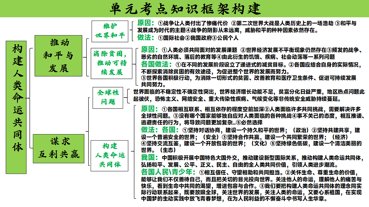 17785610第3页