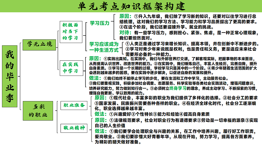 17785613第3页