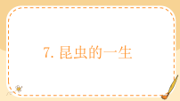 小学科学教科版（2024）三年级下册（2024）7.昆虫的一生图文课件ppt