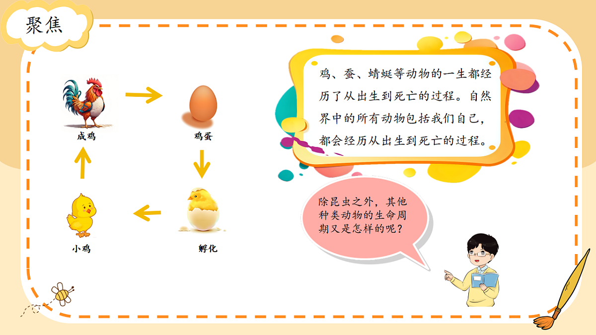 17786105第2页