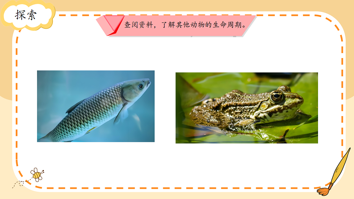 17786105第3页