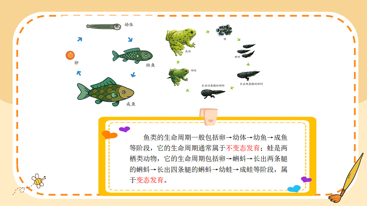 17786105第7页