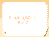2026年教科版三年级科学下册 第二单元  动物的一生  单元小结（课件）