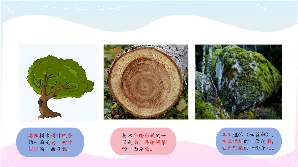 17786116第7页