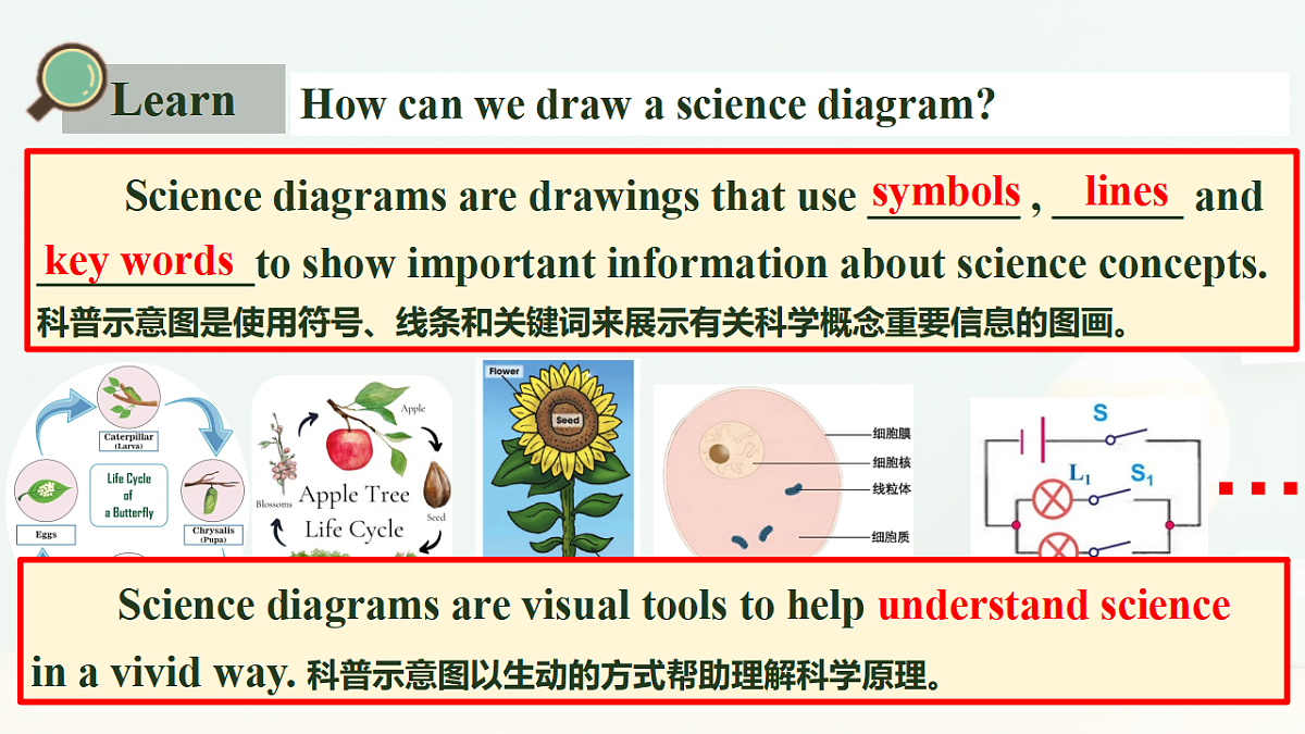 17786356第8页