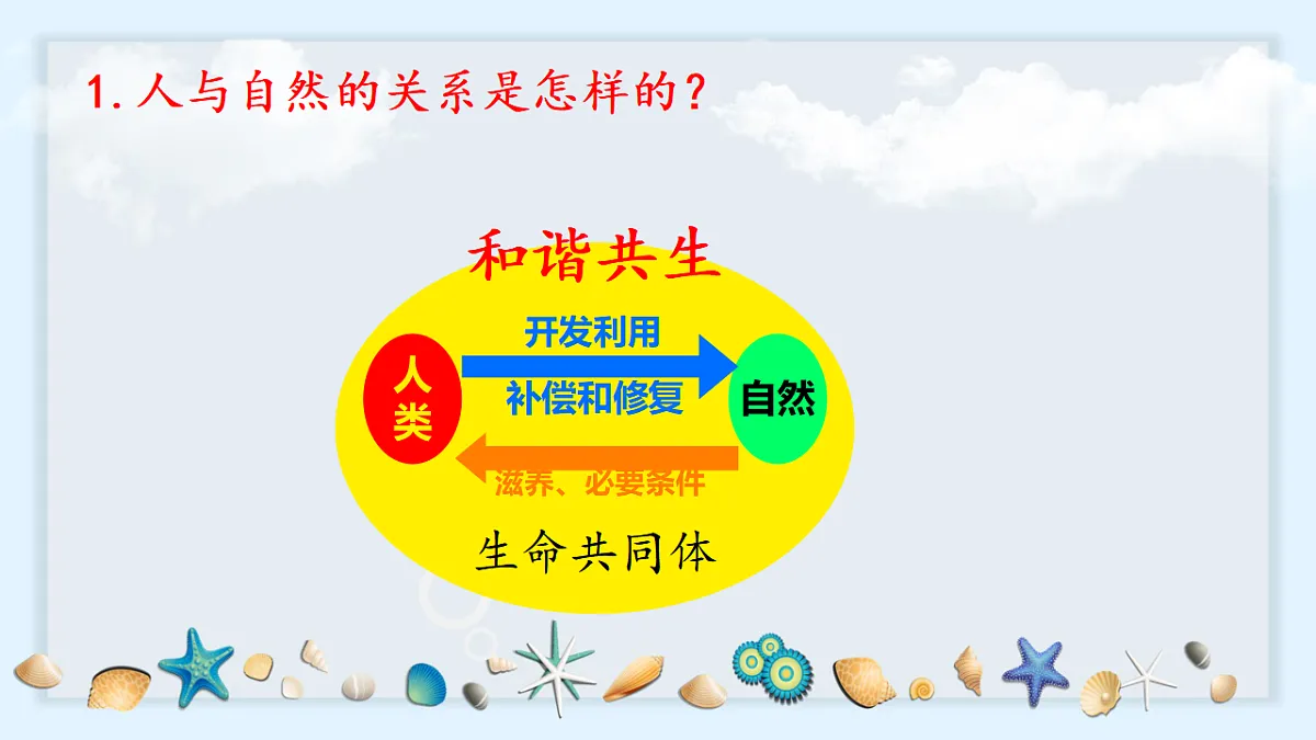 17786882第6页