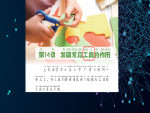 第14课 发现常见工具的作用 课件-2025-2026学年科学一年级上册粤教粤科版