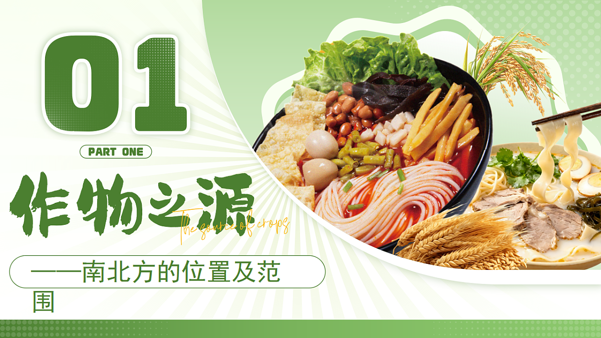 17789477第7页