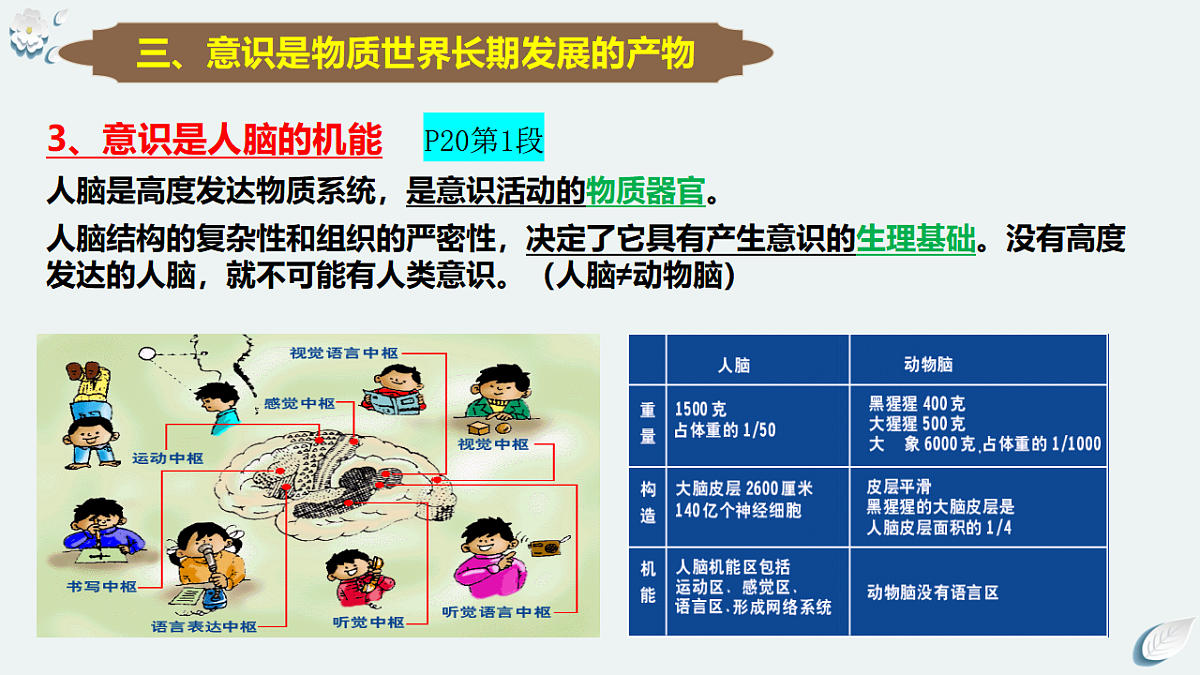 17790941第5页