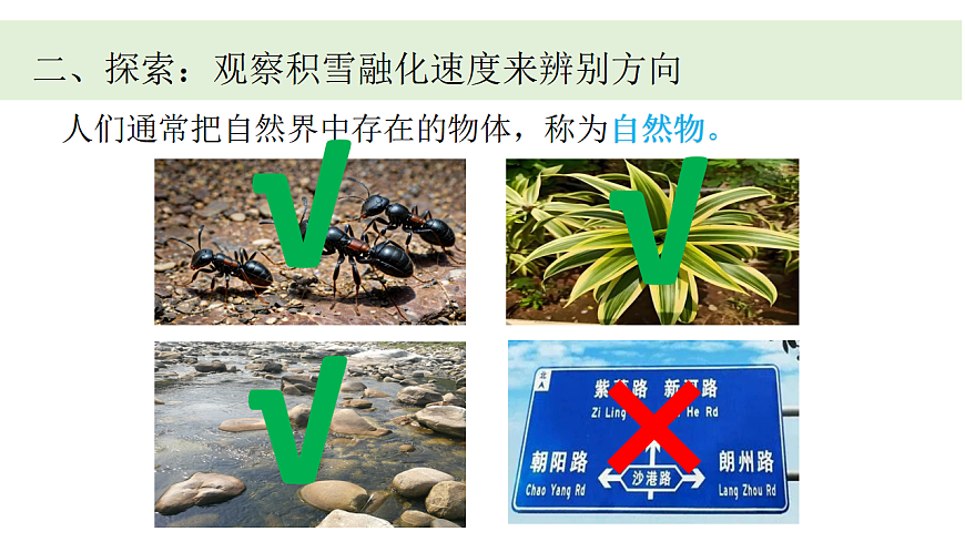 2.《利用自然物辨别方向》课件第3页