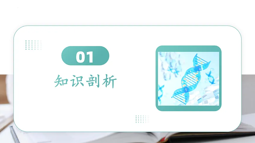 17792018第2页