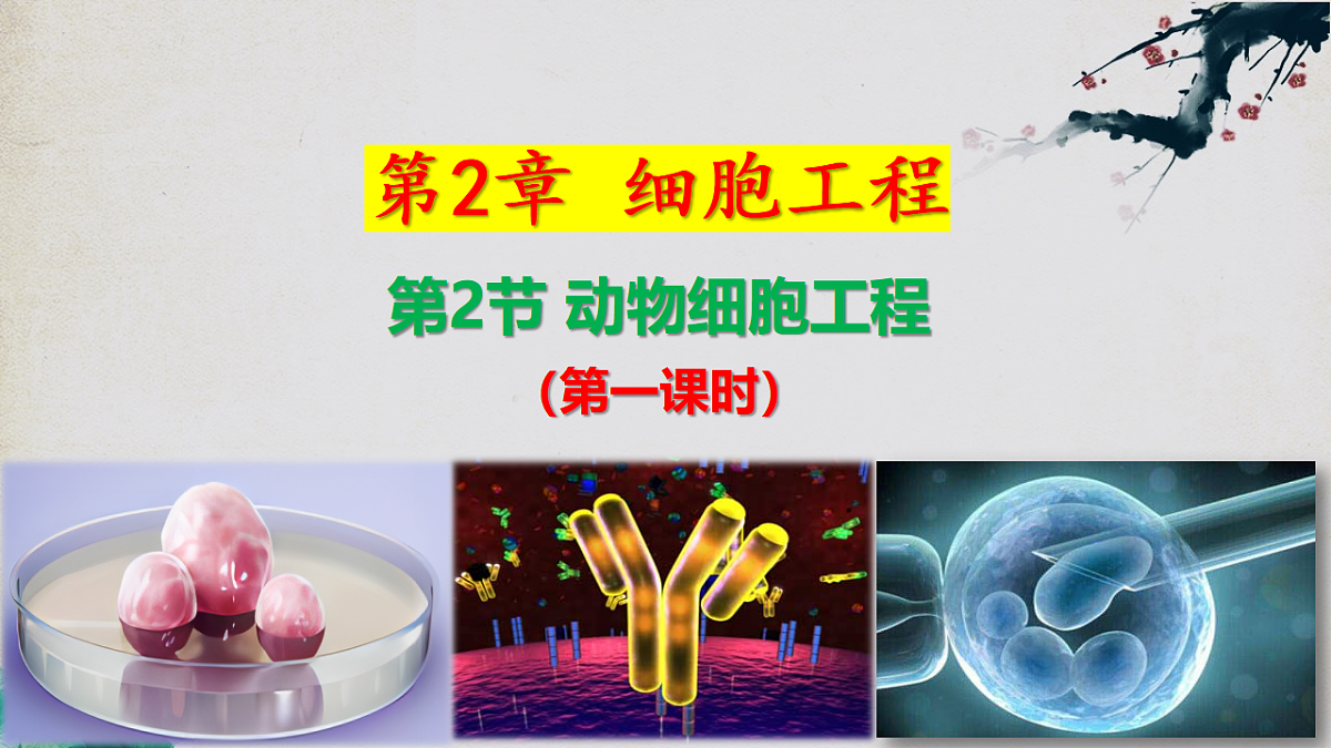 17792074第2页