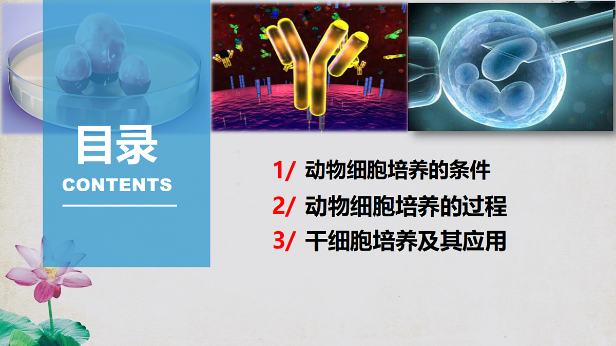 17792074第5页