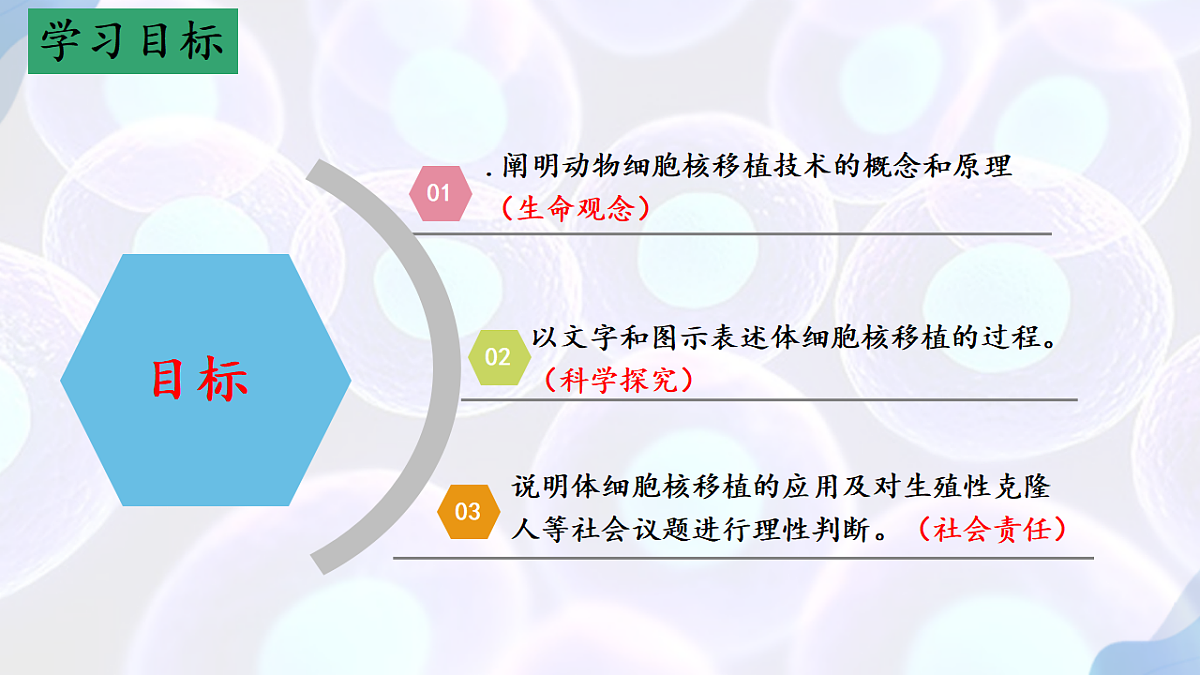 17792075第2页