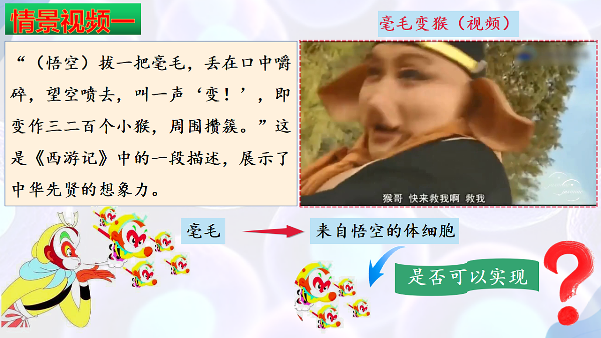 17792075第3页