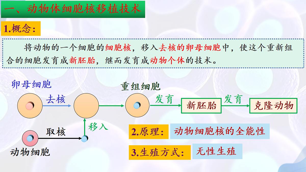 17792075第6页