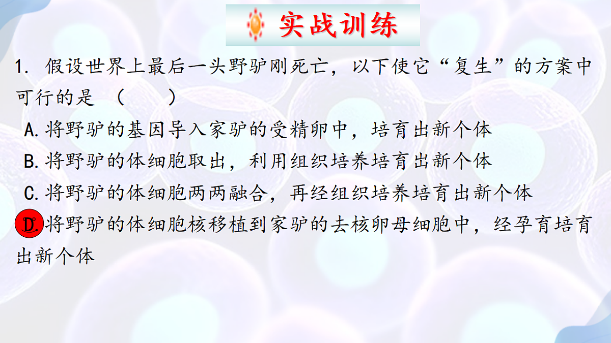 17792075第8页