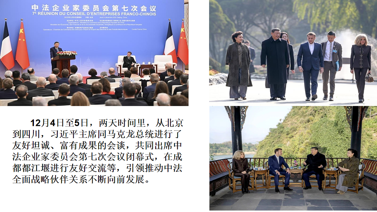 17794535第4页