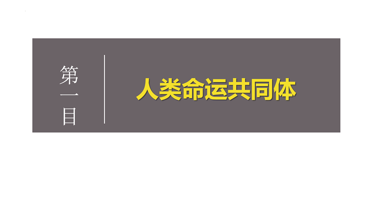 17794541第3页