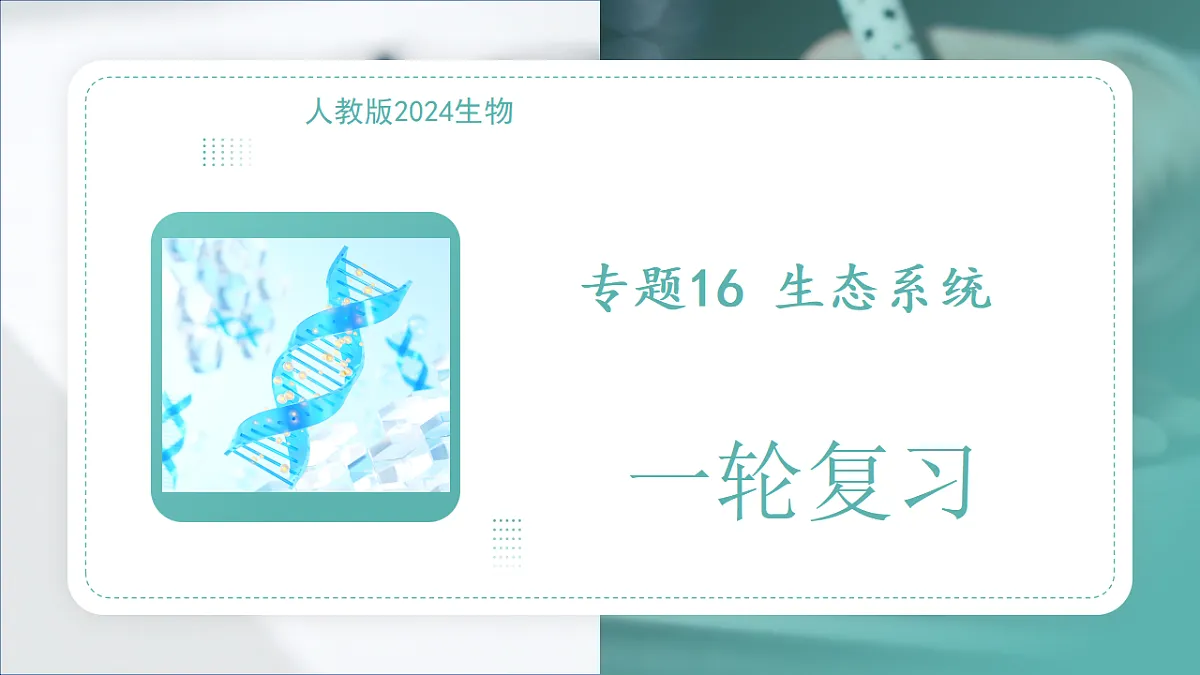 17794613第1页