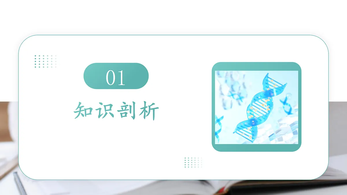 17794613第2页