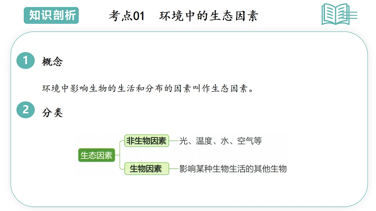 17794613第3页