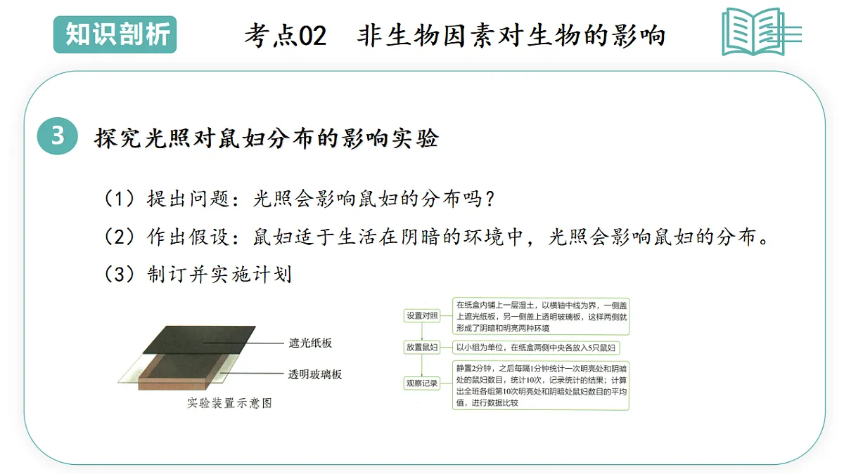 17794613第7页