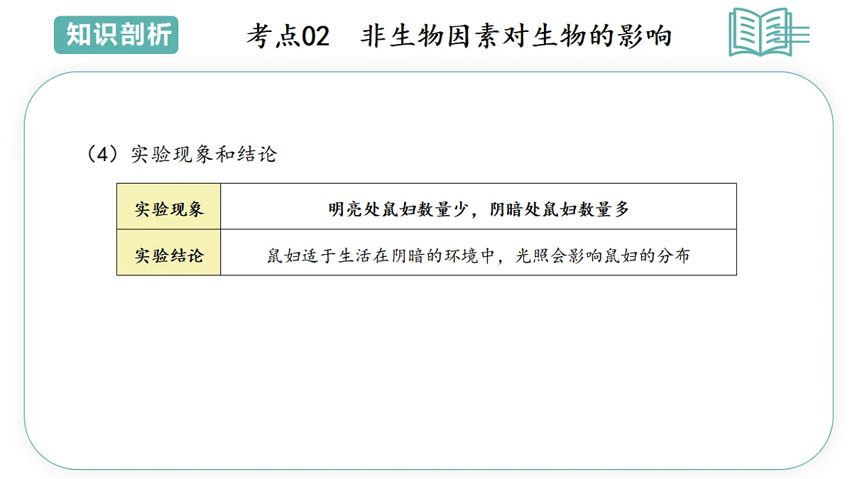 17794613第8页
