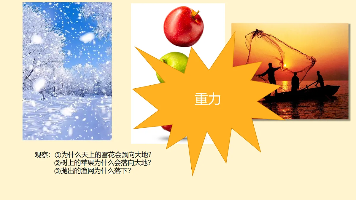 17794849第2页
