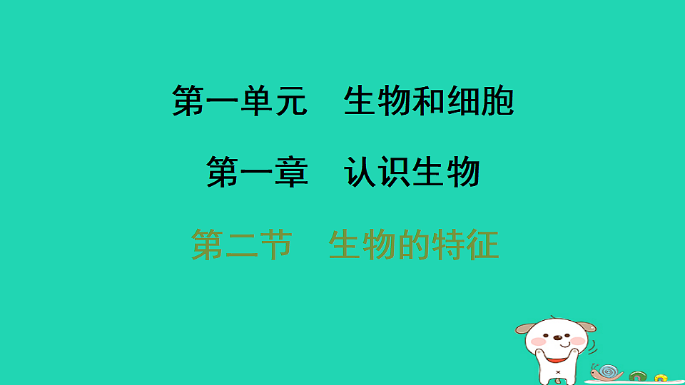 17795209第1页