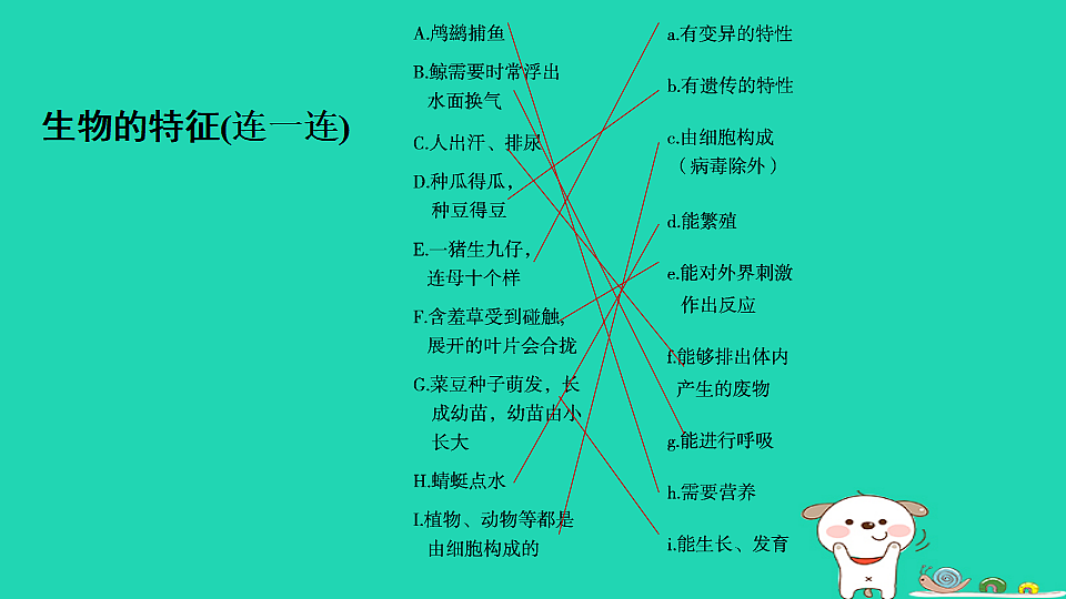 17795209第3页