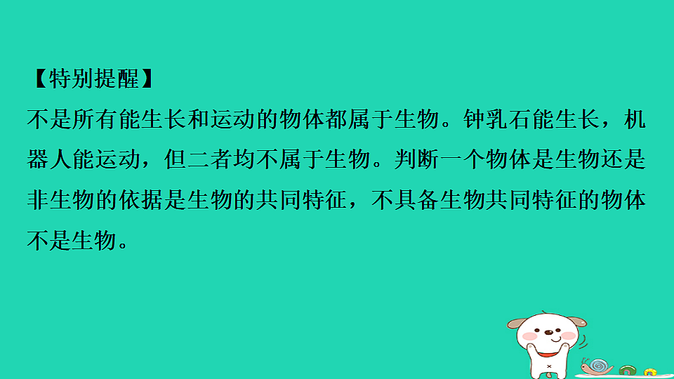 17795209第4页