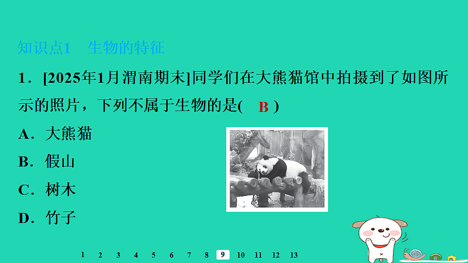 17795209第5页