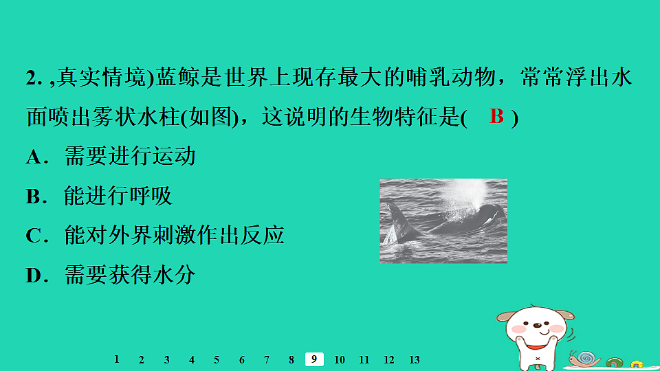 17795209第6页