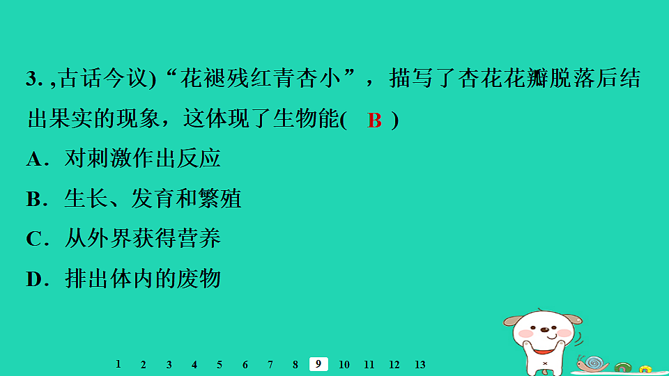 17795209第7页