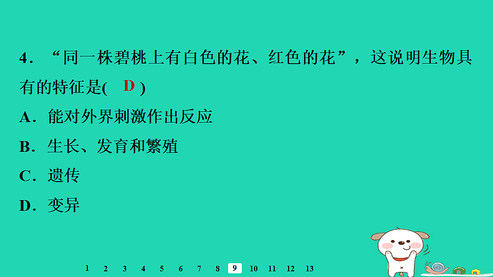 17795209第8页