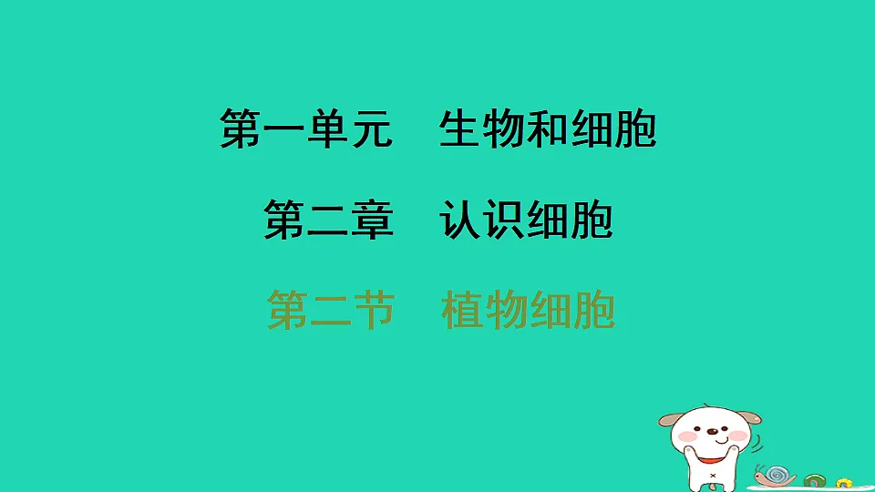17795211第1页