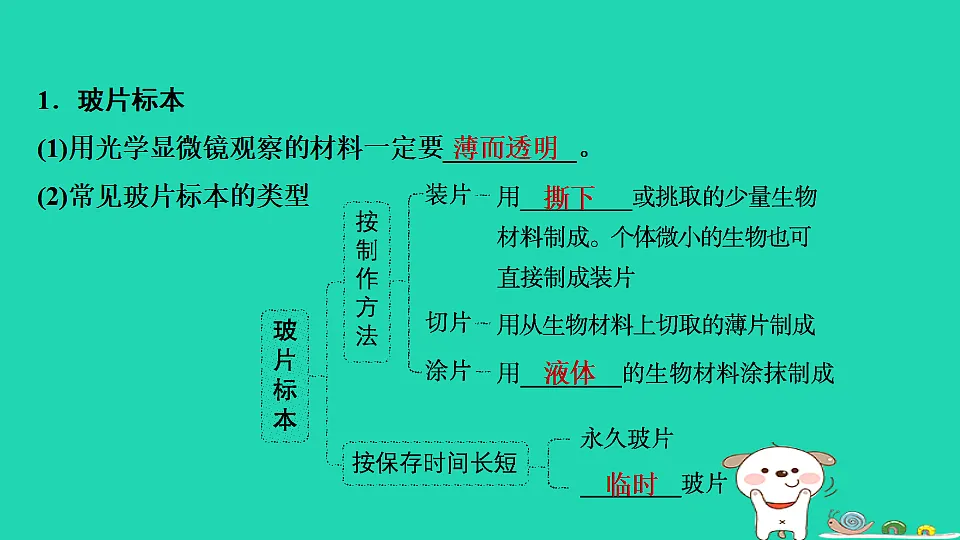 17795211第3页